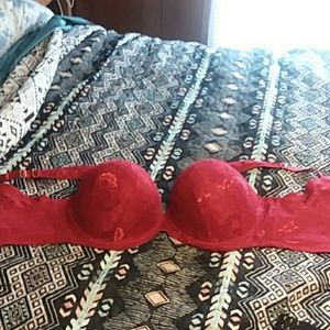 Ashley Steward  Butterfly Bra